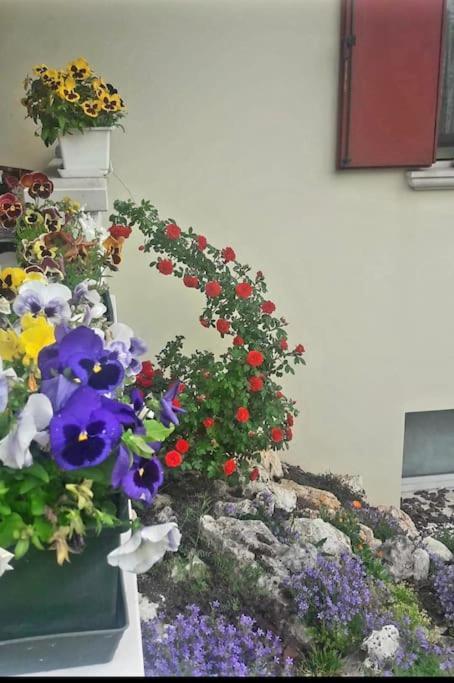 Villa Ama Pordenone Kültér fotó