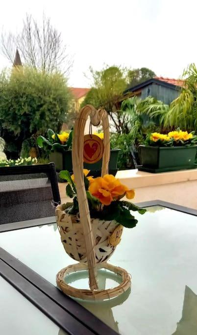 Villa Ama Pordenone Kültér fotó