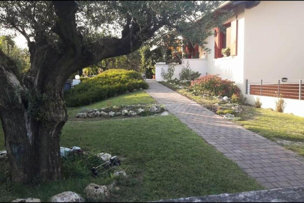 Villa Ama Pordenone Kültér fotó