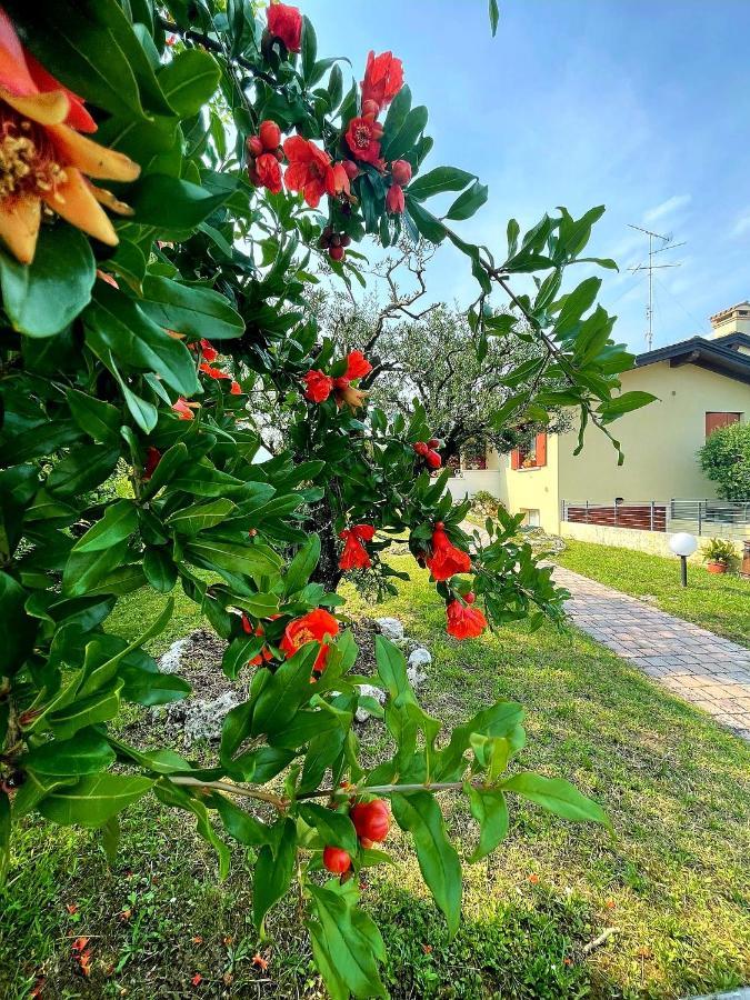 Villa Ama Pordenone Kültér fotó