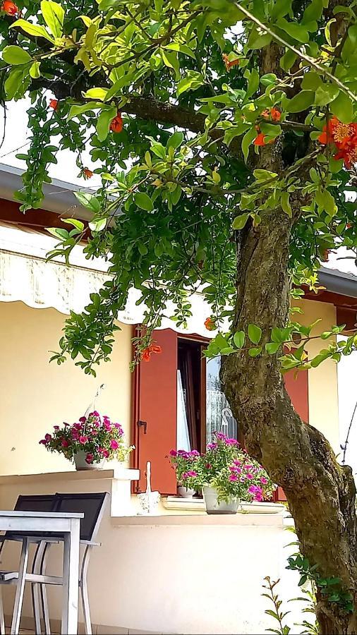 Villa Ama Pordenone Kültér fotó